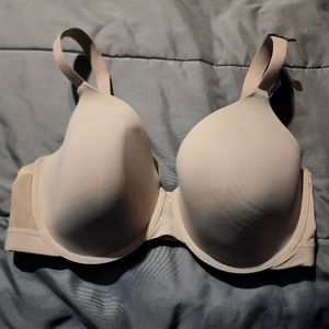 New Modern Movements Bra